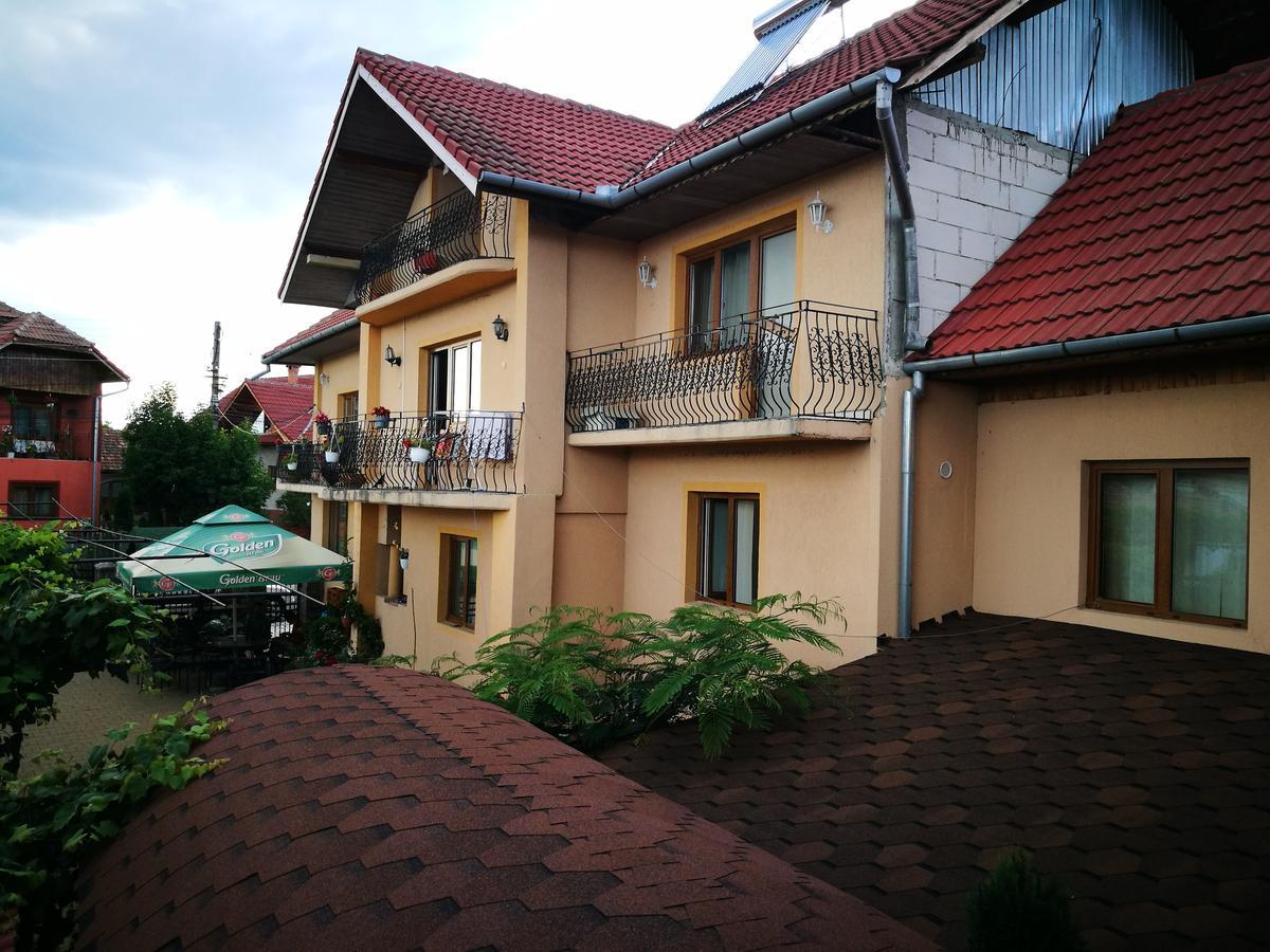 Pensiunea Remus Hotel Novaci-Străini Buitenkant foto